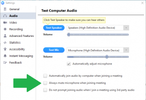 Zoom Audio Settings with check box to enable always mute